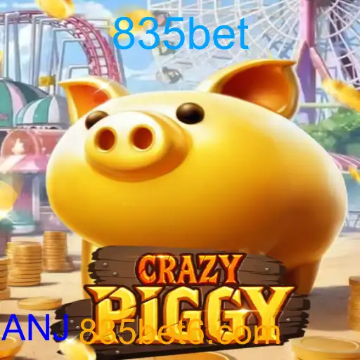 CrazyPiggy